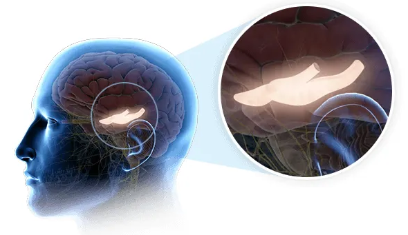 The Genius Wave protocol illustration